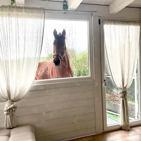 Mirella Charming ベッド・アンド・ブレックファスト 4*