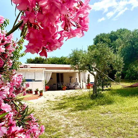 Frühstückspension Mirella Charming Alberobello