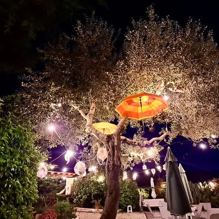 Mirella Charming Frühstückspension