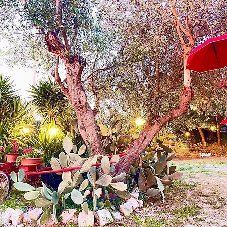 Mirella Charming アルベロベッロ