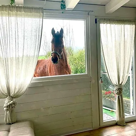 Mirella Charming Nocleg ze śniadaniem 4*
