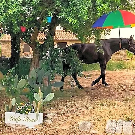 Mirella Charming 4* Alberobello