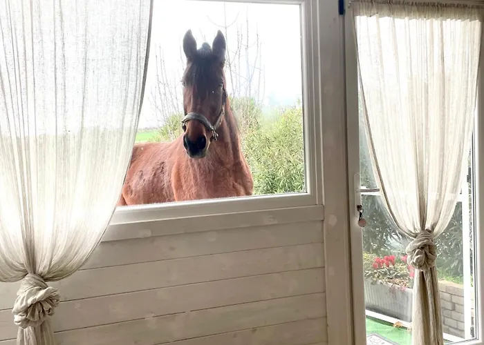 Mirella Charming Bed & Breakfast 4*